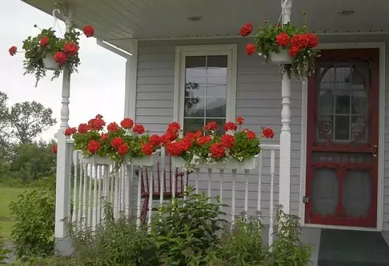 Daxuyaniya Porch li xaniyek taybet (35 wêne)