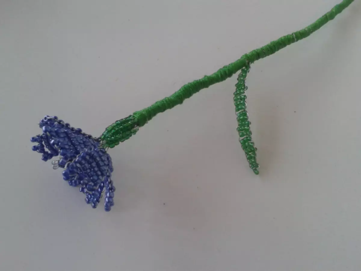 Beaded cornflowers: স্কিম এবং ভিডিও সঙ্গে মাস্টার ক্লাস