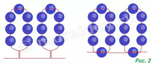 Gerbera từ hạt cho người mới bắt đầu trong một lớp chính với các chương trình và video