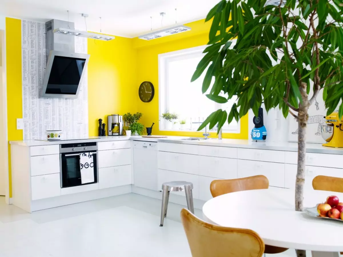 Kako izbrati barvo stene v kuhinji