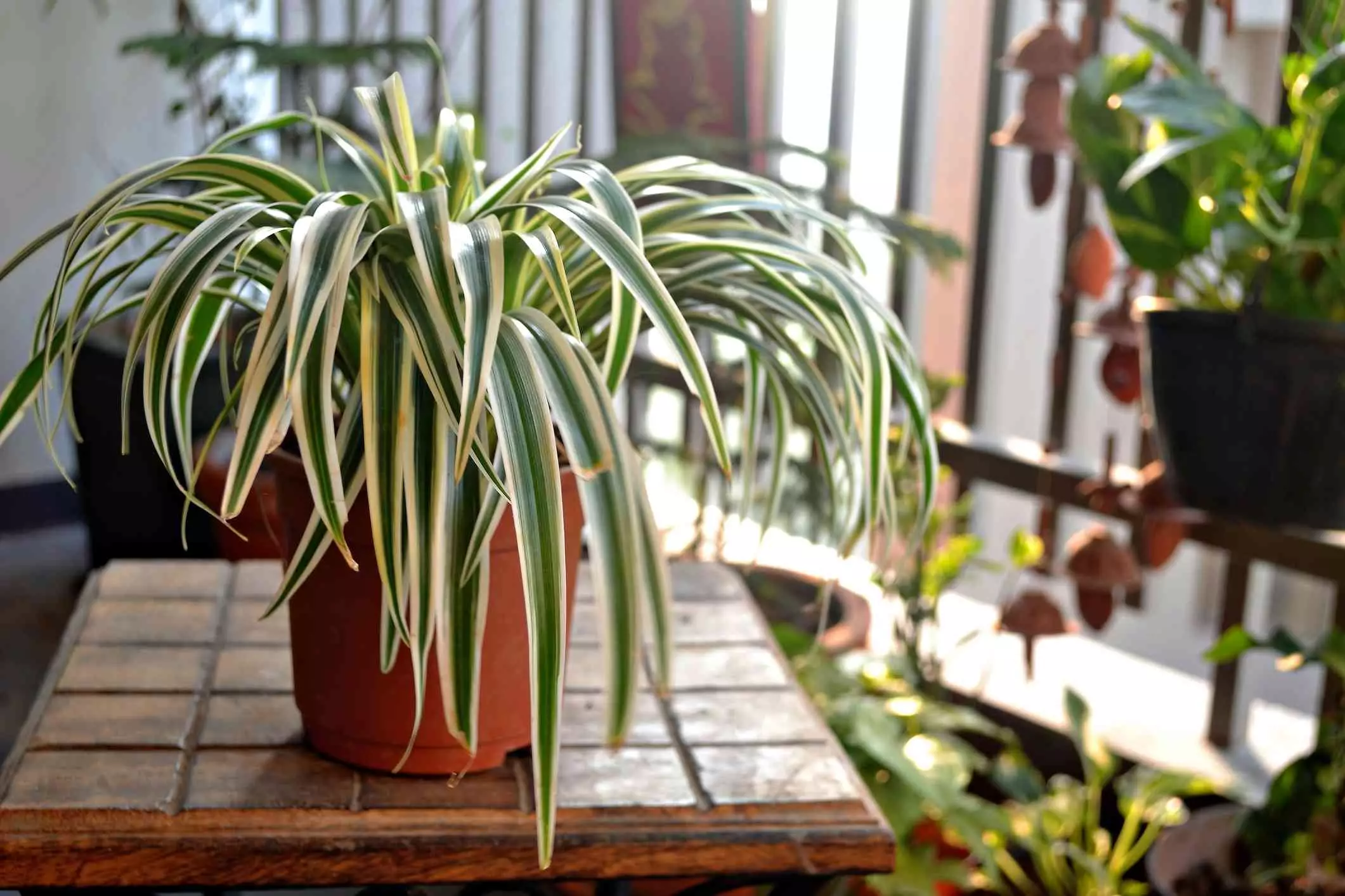 Plantas de 5 dormitorios que son útiles para tener en la casa.