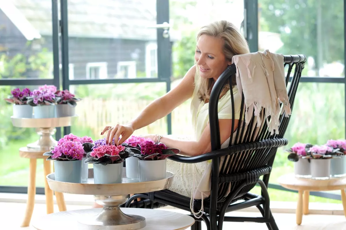 [Planter i huset] Hvorfor ikke den fiolette blomstre?