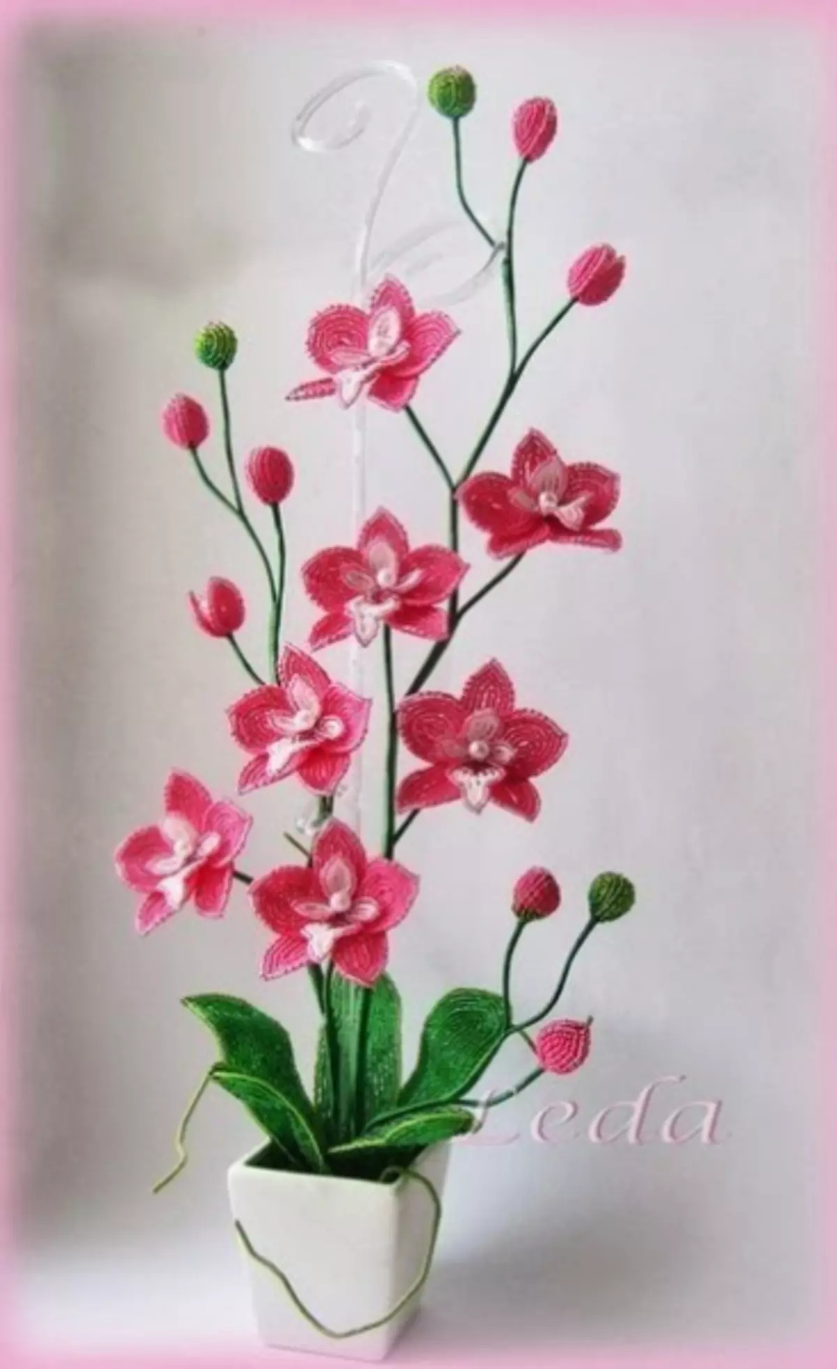 Orchidées de perles: Schémas de tissage pour débutants avec photos et vidéo