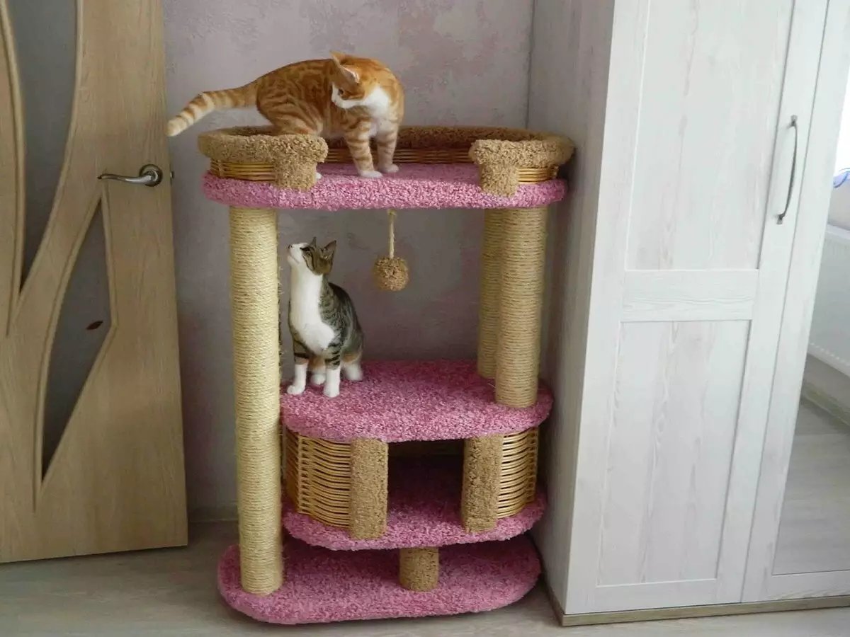 5 Idea Interior jika kucing tinggal di rumah