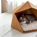 猫が家の中に住んでいる場合の5つのインテリアのアイデア