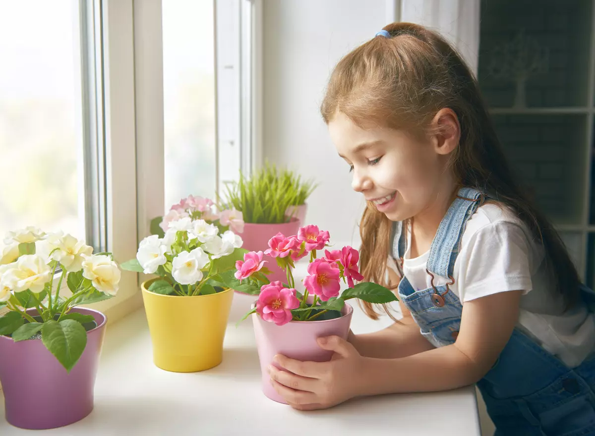[Plantes dans la maison] Comment prendre soin d'une nouvelle fleur après faire du shopping?