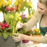 [Φυτά στο σπίτι] Πώς να φροντίσετε για ένα νέο λουλούδι μετά από ψώνια;