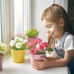 [Растения в къщата] Как да се грижим за ново цвете след пазаруване?