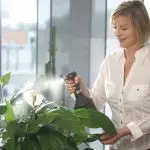 [Planter i huset] Hvordan bryr seg om en ny blomst etter shopping?