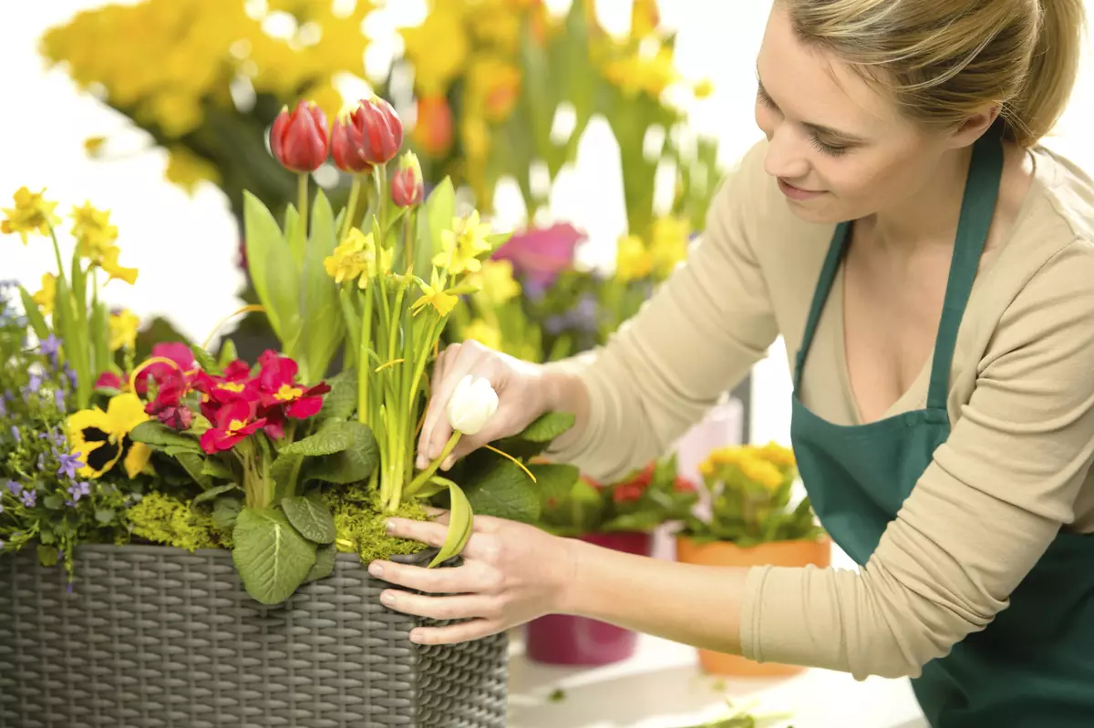 [집의 식물] 쇼핑 후 새로운 꽃을 돌보는 방법?