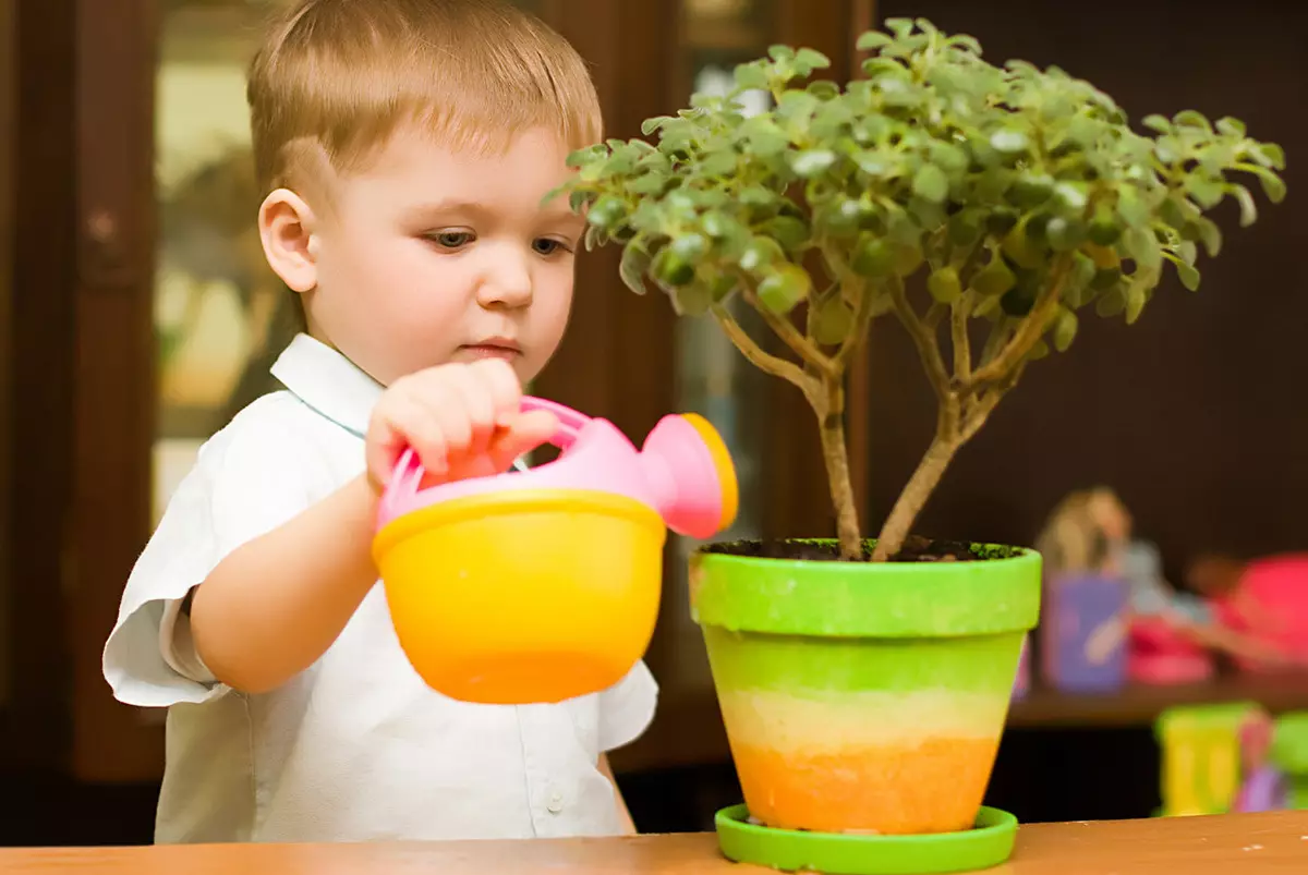 [Planten in het huis] Hoe te zorgen voor een nieuwe bloem na het winkelen?