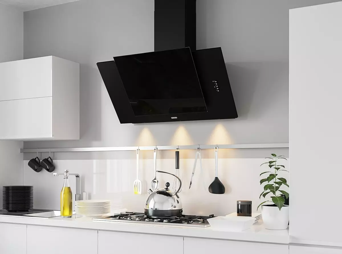Knalpot apa yang harus dipilih untuk interior dapur modern?