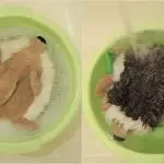 [Būs tīrs] Kā mazgāt mīkstās rotaļlietas veļas mašīnā un manuāli?