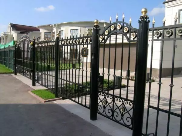 Pagar palsu (pagar) untuk rumah pribadi - pilih gaya Anda