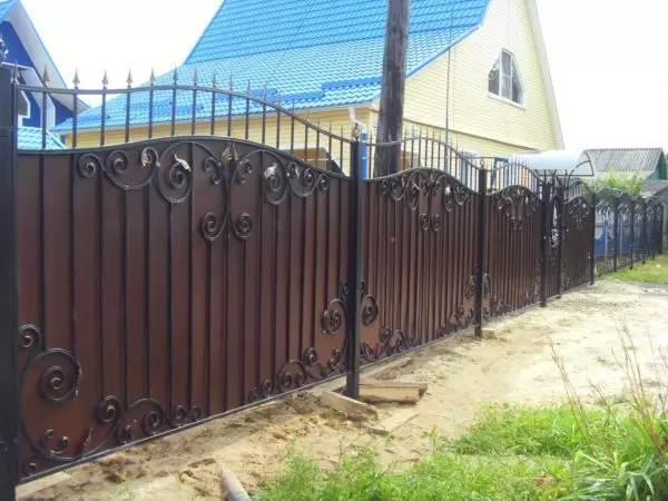 Recinzioni forgiate (recinzioni) per case private - Scegli il tuo stile