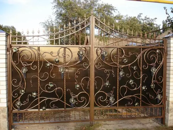 Forged fences (fences) para sa mga pribadong bahay - piliin ang iyong estilo