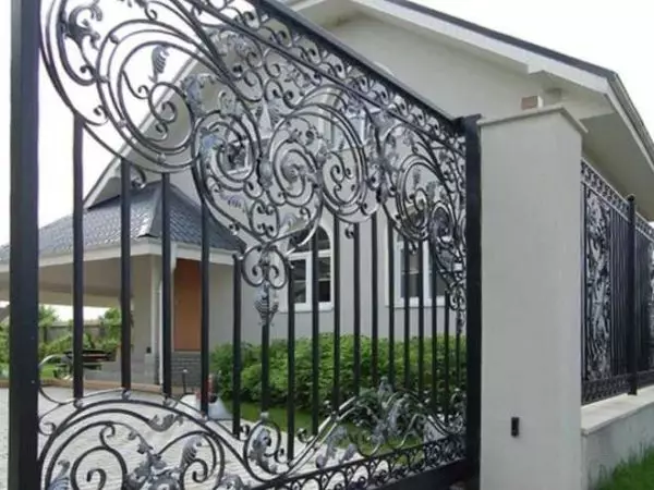 Garduri forjate (garduri) pentru case private - Alege-ți stilul