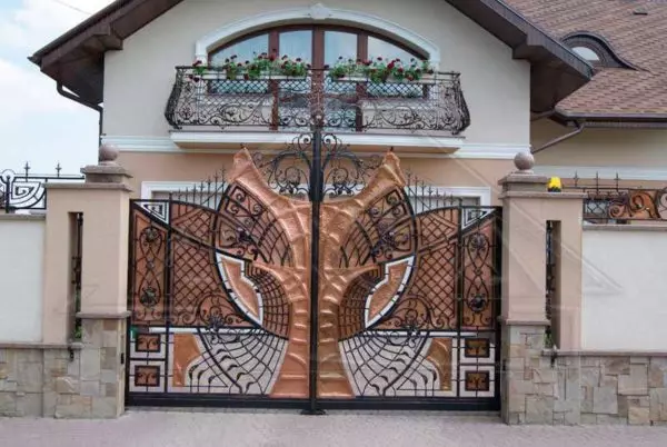Forged fences (fences) for private houses - choose your style