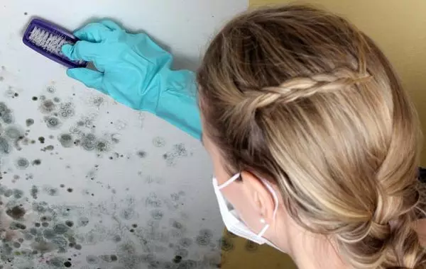 Kako ukloniti gljivice iz zidova u apartmanu od strane narodnih lijekova