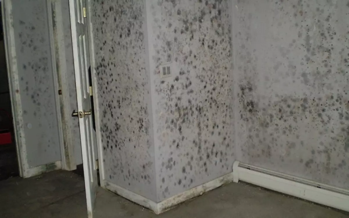 Πώς να αφαιρέσετε τον μύκητα από τους τοίχους στο διαμέρισμα με λαϊκές θεραπείες