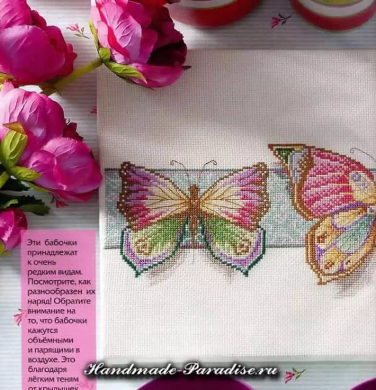 Butterflies - kuyambuka embroidery zvirongwa