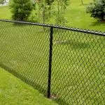 few-rabit-rabit fence: ທັງຫມົດ