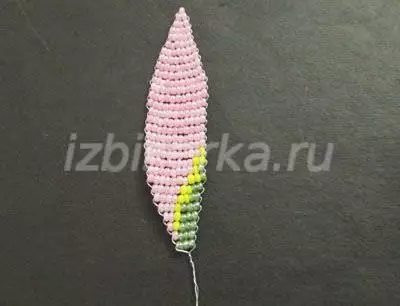 Lilsies daga Beads: Classanan Jagora don masu farawa da hotuna da bidiyo