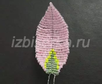 Lilsies daga Beads: Classanan Jagora don masu farawa da hotuna da bidiyo