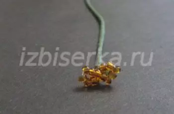 Lilsies daga Beads: Classanan Jagora don masu farawa da hotuna da bidiyo