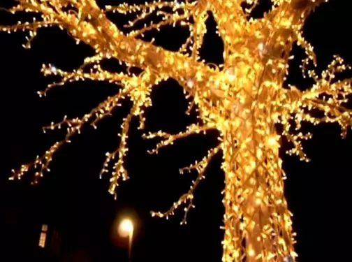 Ruban à LED pour rue: Installation sur un arbre, maison, bannières