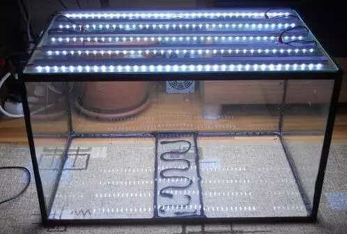 LED tepi yeiyo aquarium mwenje