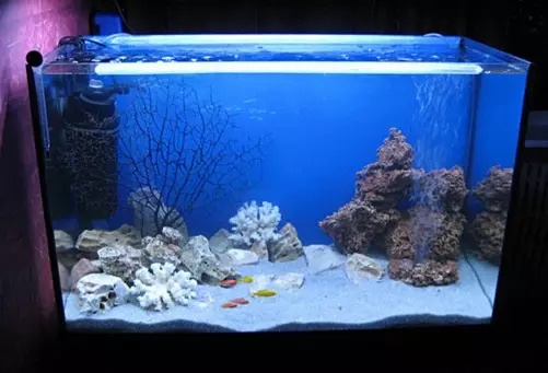 Cinta LED para a iluminación do acuario