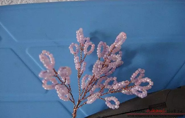 Sakura-filio-skemo de bidoj: majstra klaso kun videaj lecionoj