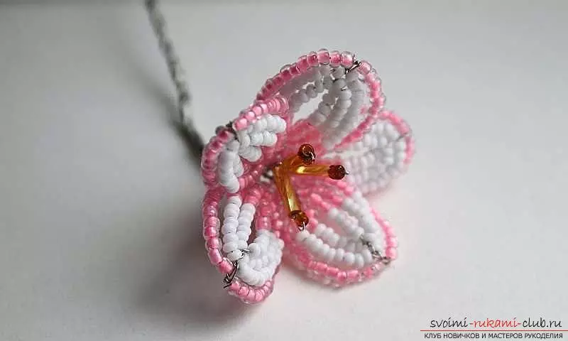 Sakura Branch Scheme mula sa Beads: Master Class na may Mga Aralin sa Video