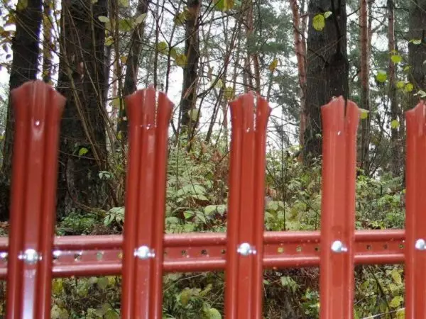 Metal Stakenice Fence (Evrostechnik) Buhata kini sa imong kaugalingon