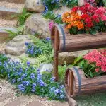 Stylish flowerbeds with their own hands from girlfriend