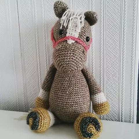 Crochet Horse: Afrikako marrazkiaren eskema eta deskribapena motiboetatik