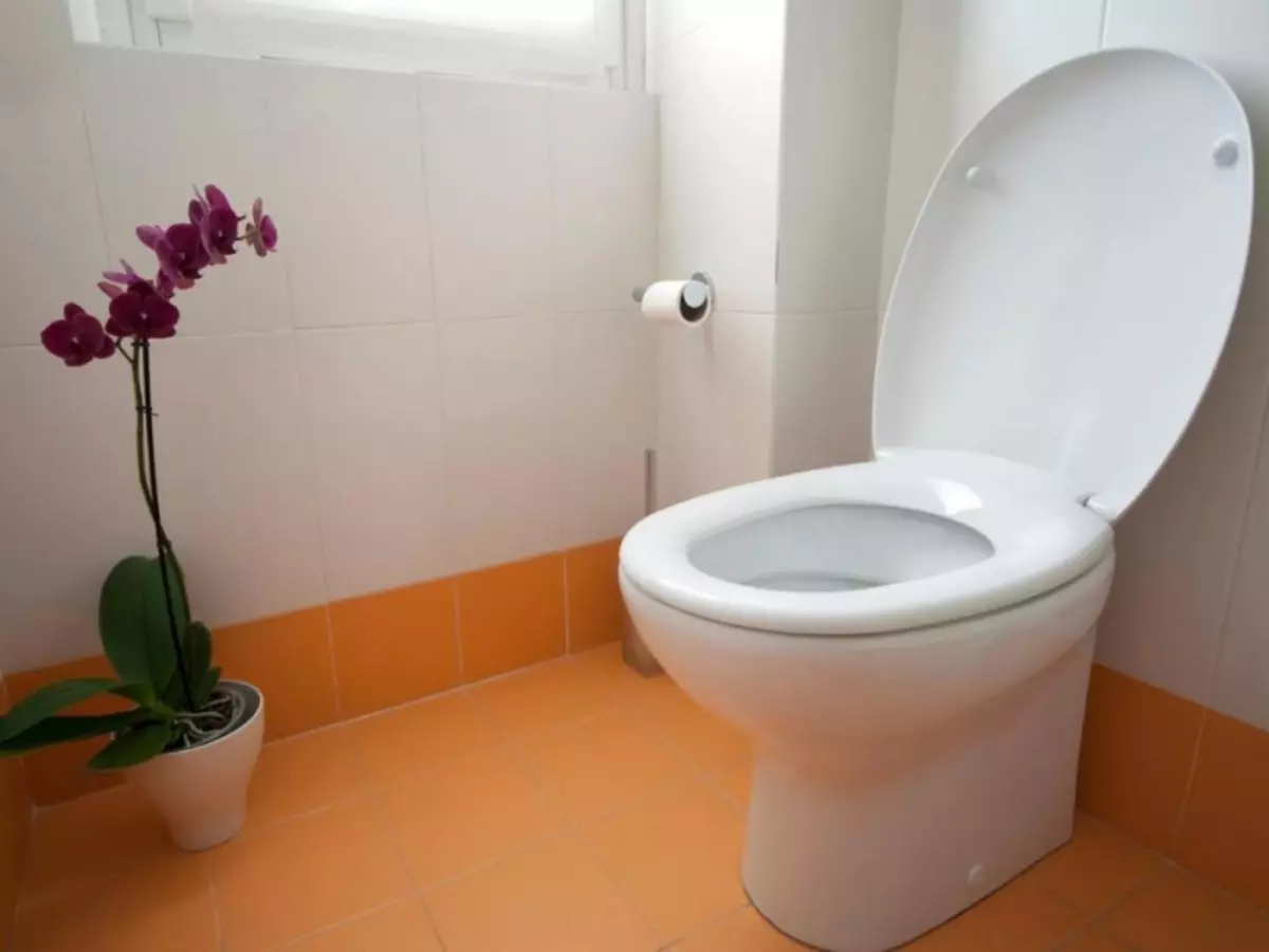 ارتفاع توالت کف: نصب استانداردها و انواع