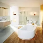 समकालीन बाथरूम डिजाइन (+500 फोटोहरू)