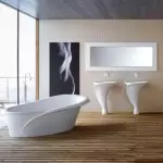 Nykyaikainen kylpyhuoneen muotoilu (+50 valokuvaa)