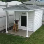 Booth para cans no lugar do viveiro [5 ideas interesantes]