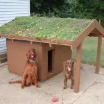 Booth pikeun anjing di situs binik (5 ideu anu pikaresepeun]