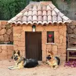 Booth pour chiens sur le site de la pépinière [5 idées intéressantes]