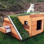 غرفه برای سگ ها در سایت مهد کودک [5 ایده های جالب]