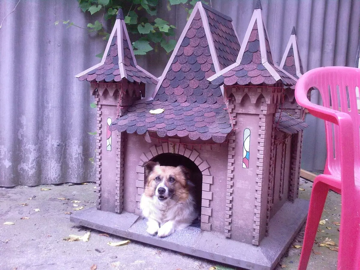 Booth for dogs at the nursery site [5 interesting ideas]