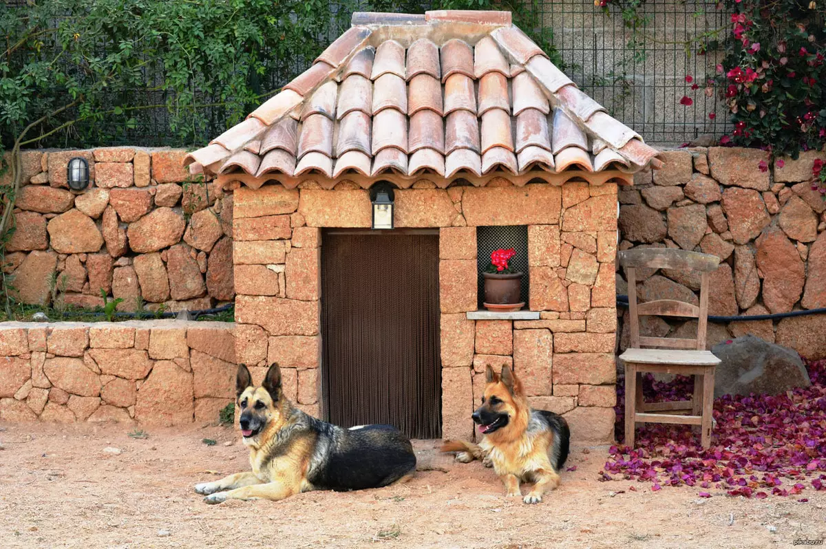 Booth untuk anjing di situs pembibitan [5 ide menarik]