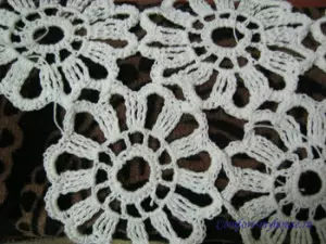 Chamomile. Ntswg nrog camomiles crochet