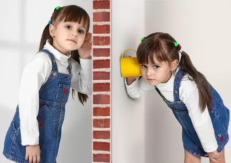 Vantagens e desvantagens da fibra de gesso e das folhas de água seca