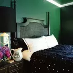 Green - Color Apartments for optimister