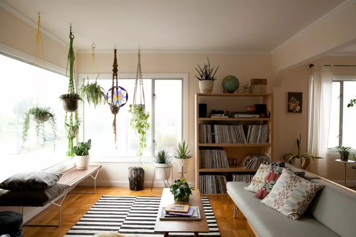 Přívěska kaše s vnitřními rostlinami v obývacím pokoji